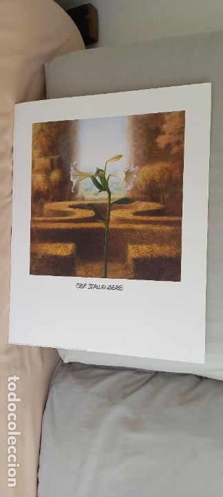 Kunst: LAMINA. 50 x 40 cm. GER STALLENBERG. MYSTIC GARDEN IV. FLORES, D-93092. PLATIN ART