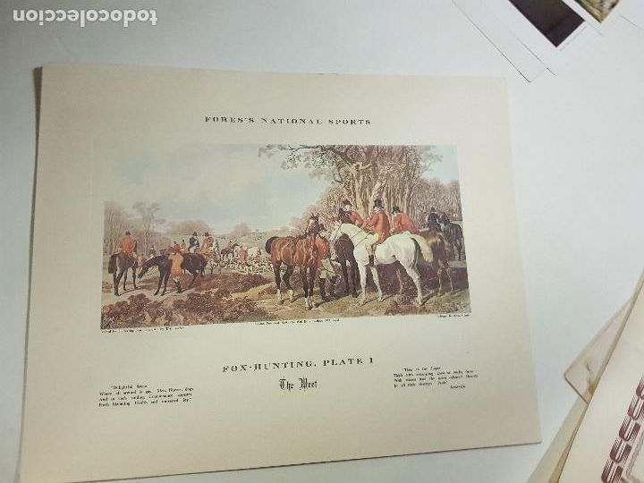 Arte: FORES NATIONAL SPORTS 36X29 CM