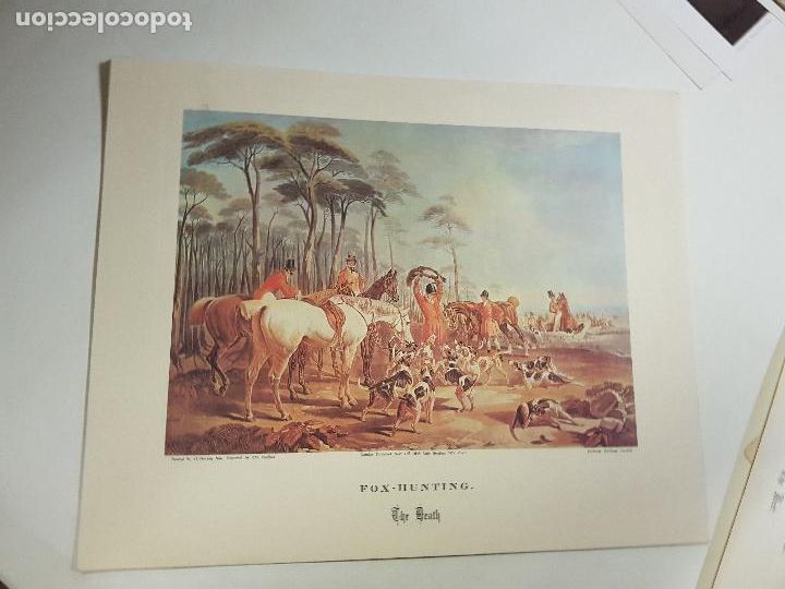 Arte: FORES NATIONAL SPORTS 36X29 CM