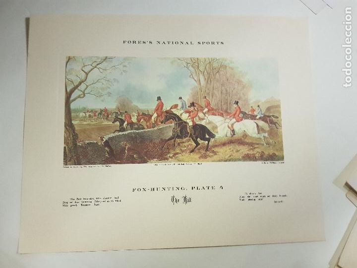 Arte: FORES NATIONAL SPORTS 36X29 CM