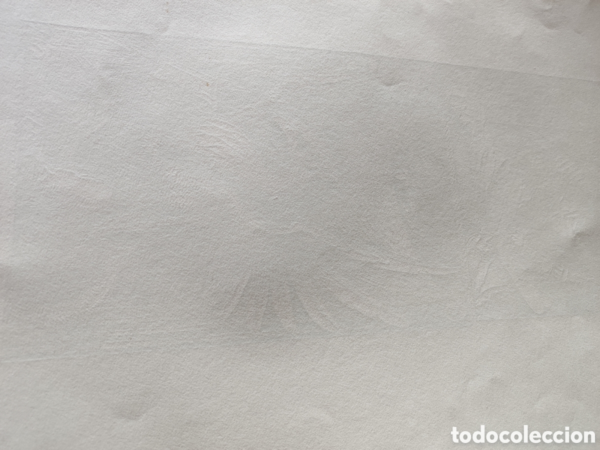 Arte: Fascimil grabado Antiguo - Foto 4
