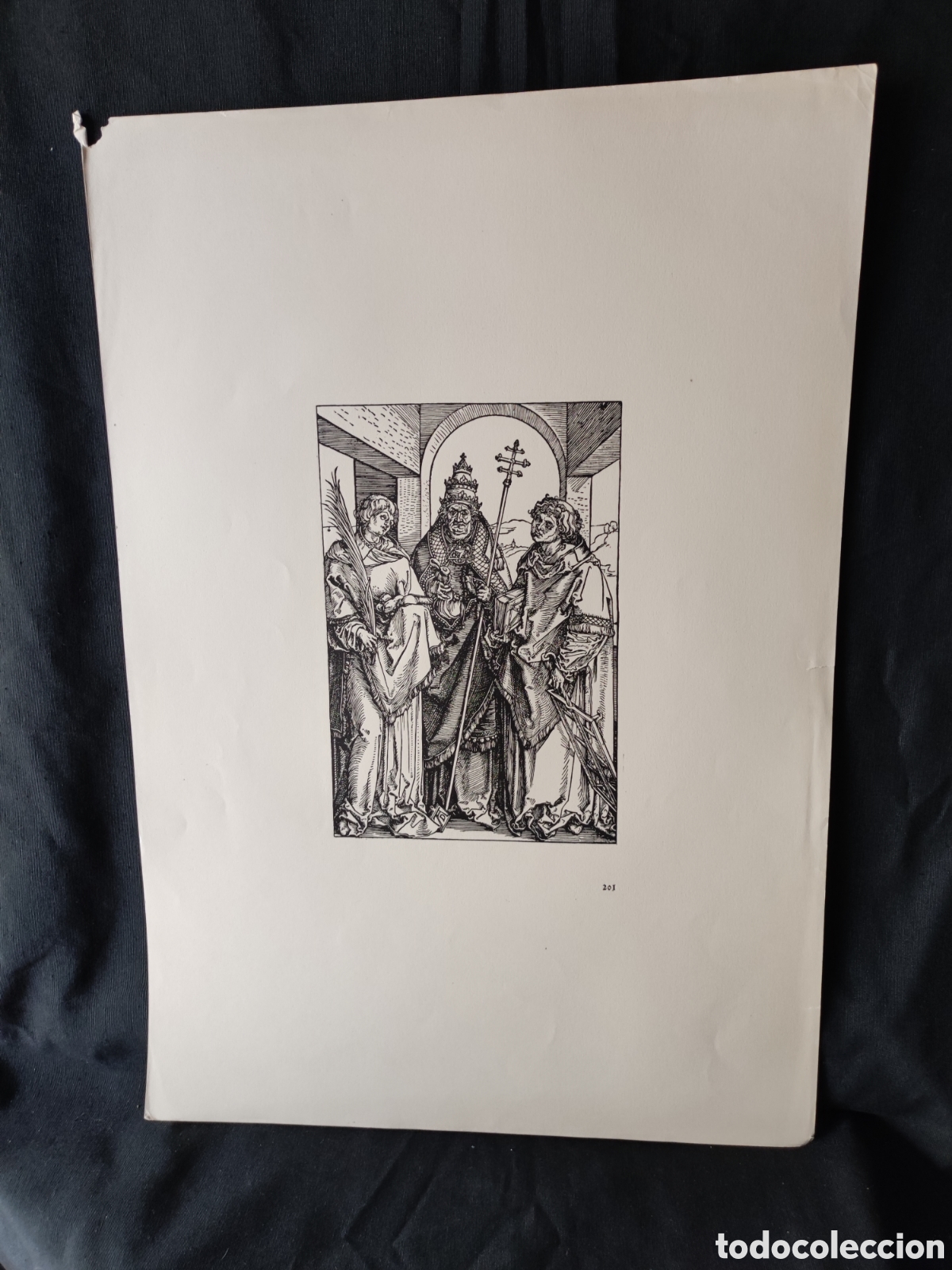 Arte: Fascimil grabado Alberto Durero - Foto 1