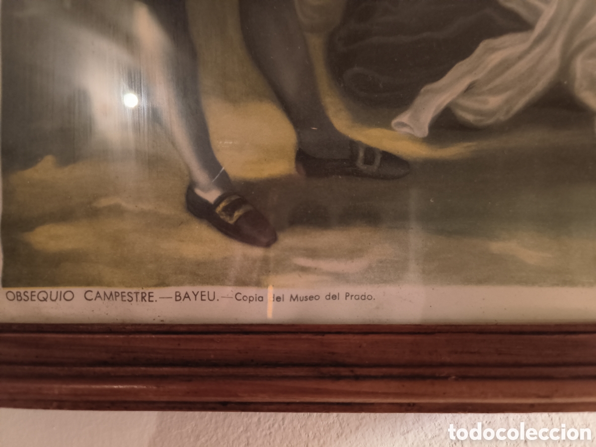 Arte: Obsequi campestre - Foto 3