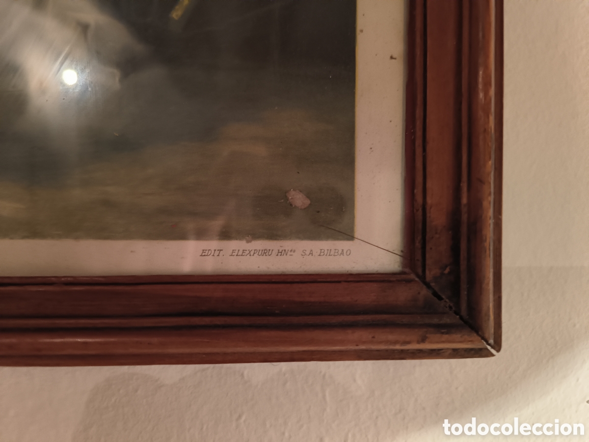 Arte: Obsequi campestre - Foto 4