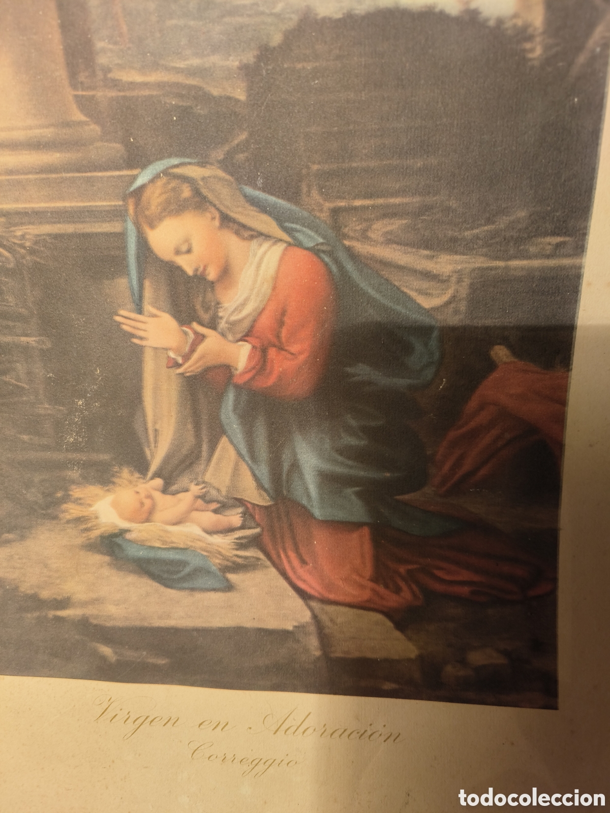 Arte: Madonna Correggio - Foto 2