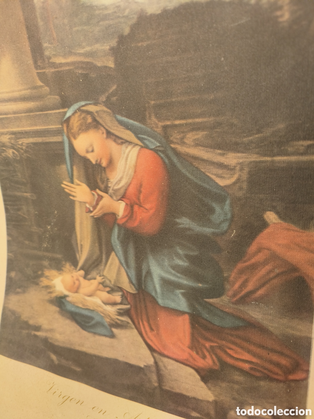 Arte: Madonna Correggio - Foto 3