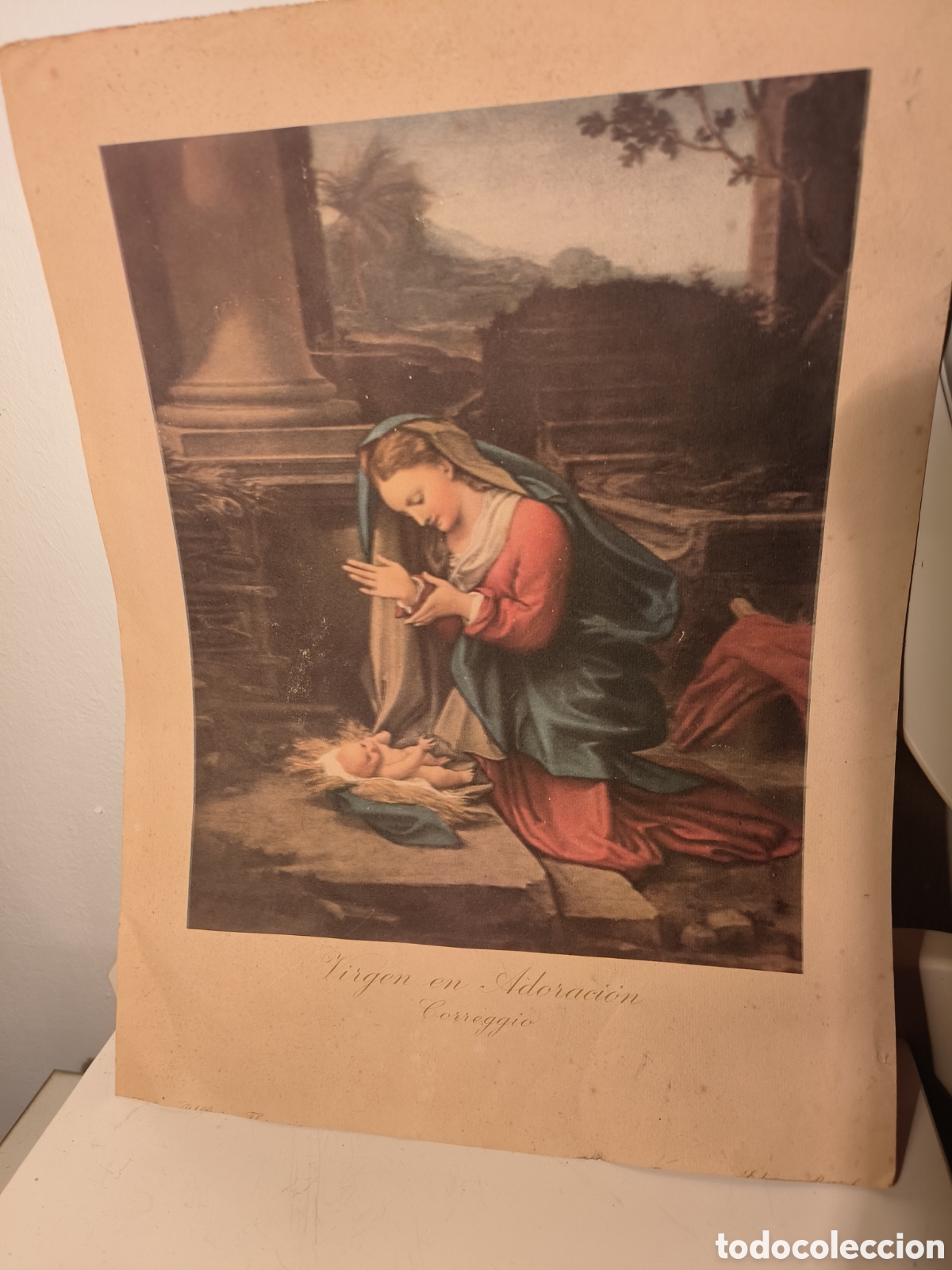 Arte: Madonna Correggio - Foto 1