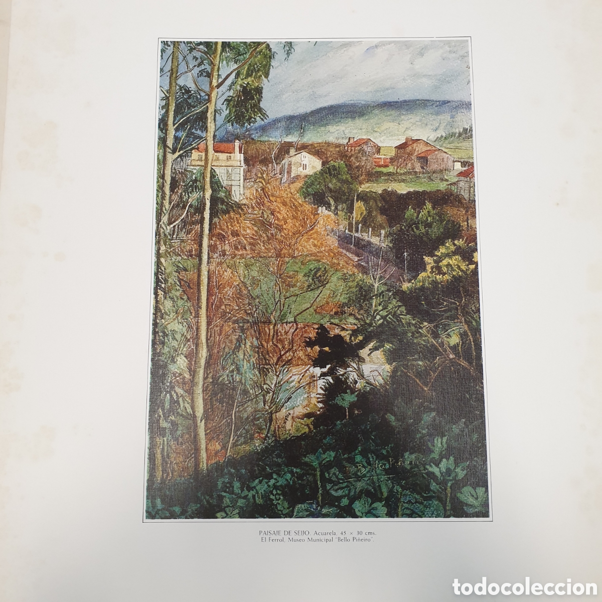 Arte: Lamina BELLO PI&Ntilde;EIRO - Foto 1