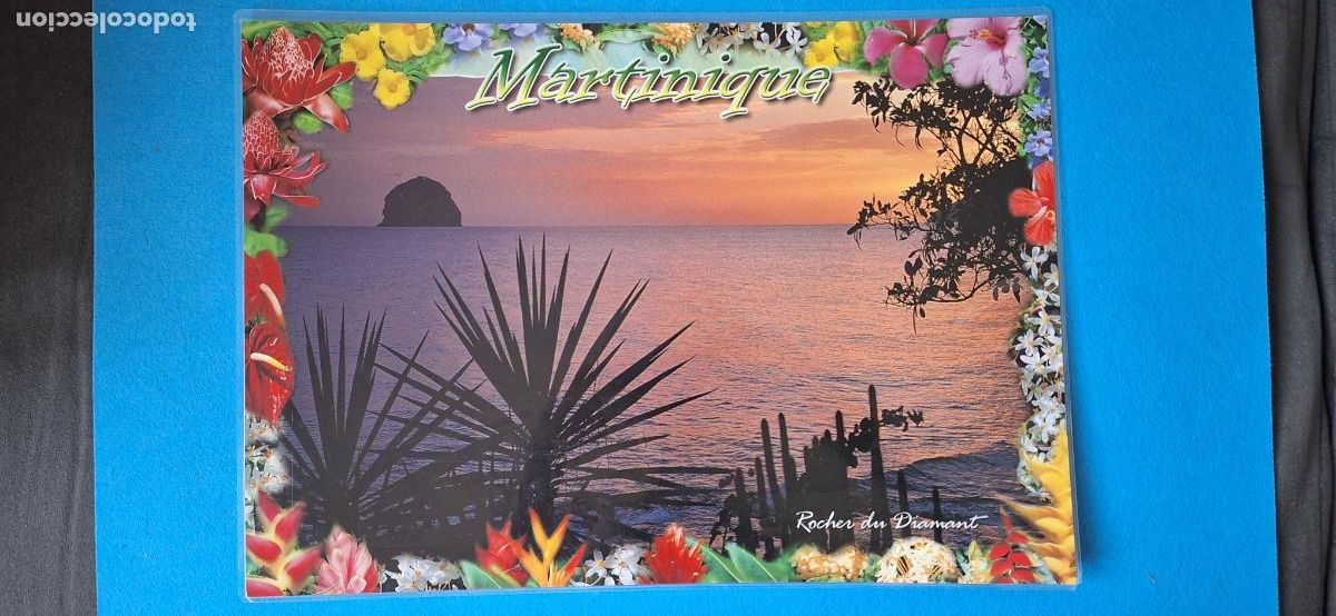 Arte: Lamina plastificada de la Isla Martinique. - Foto 2