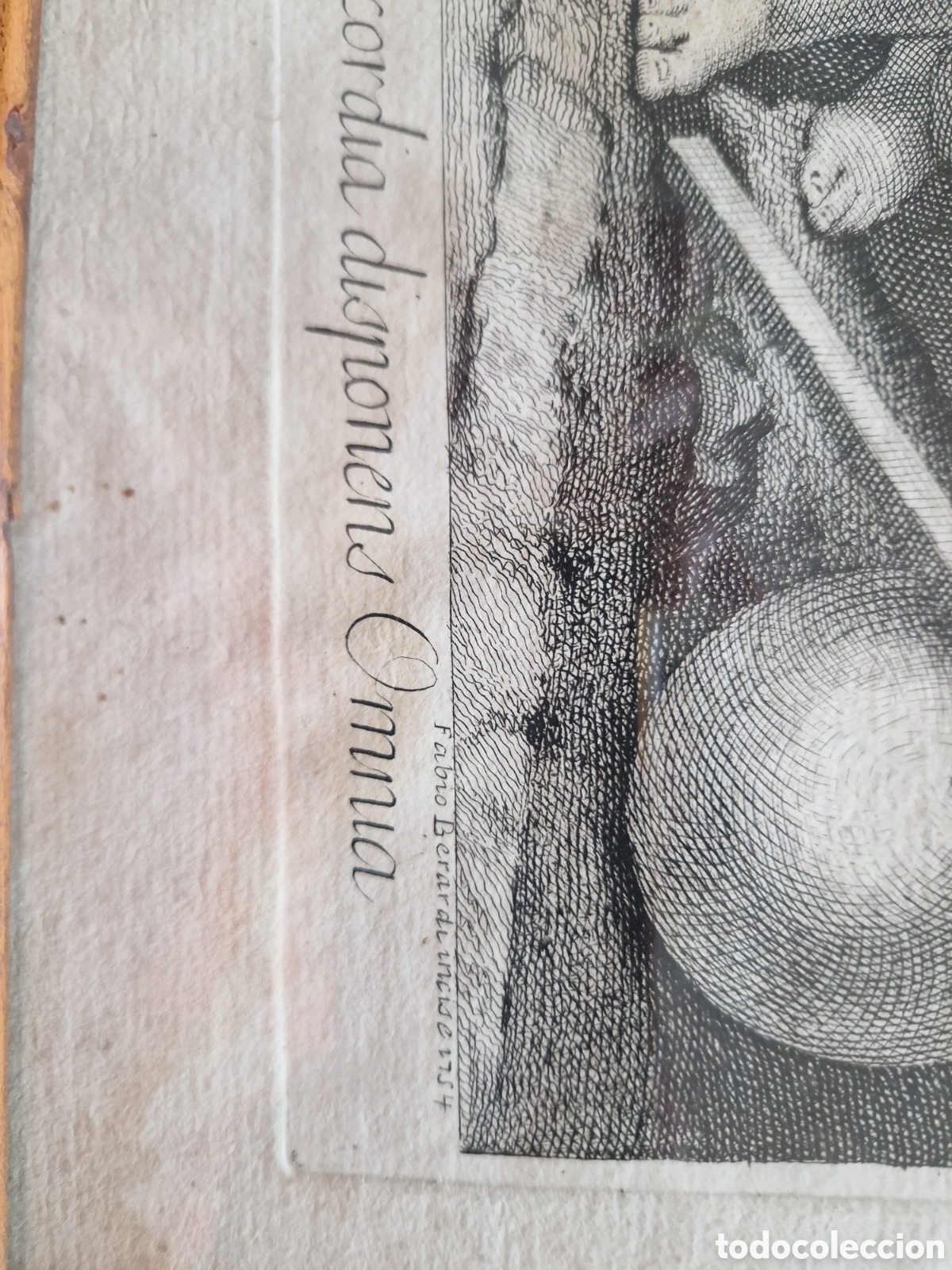 Arte: Grabado de Fabio Berardi de 1754 - Foto 3