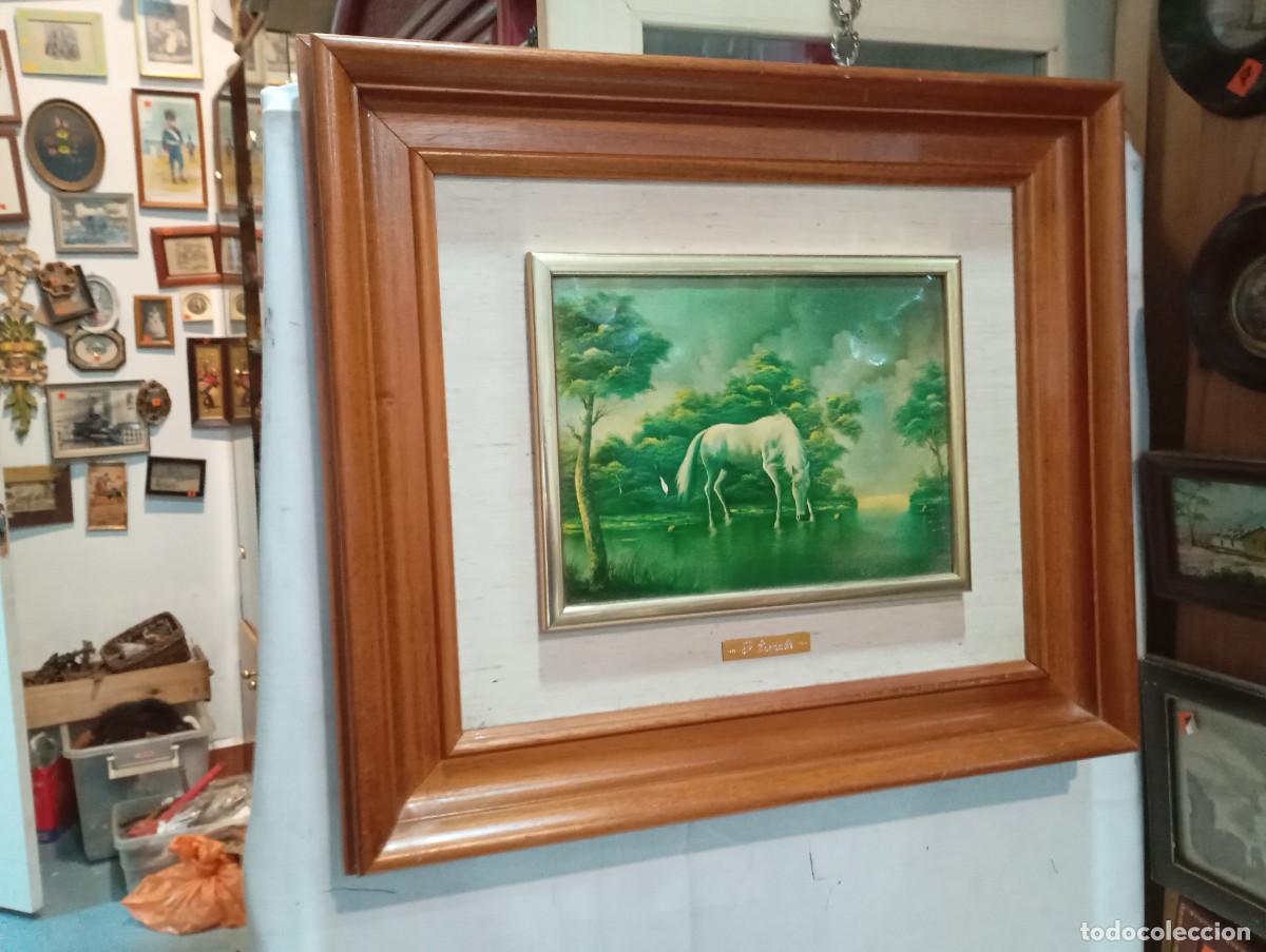 Arte: cuadro lamina de caballo - Foto 1