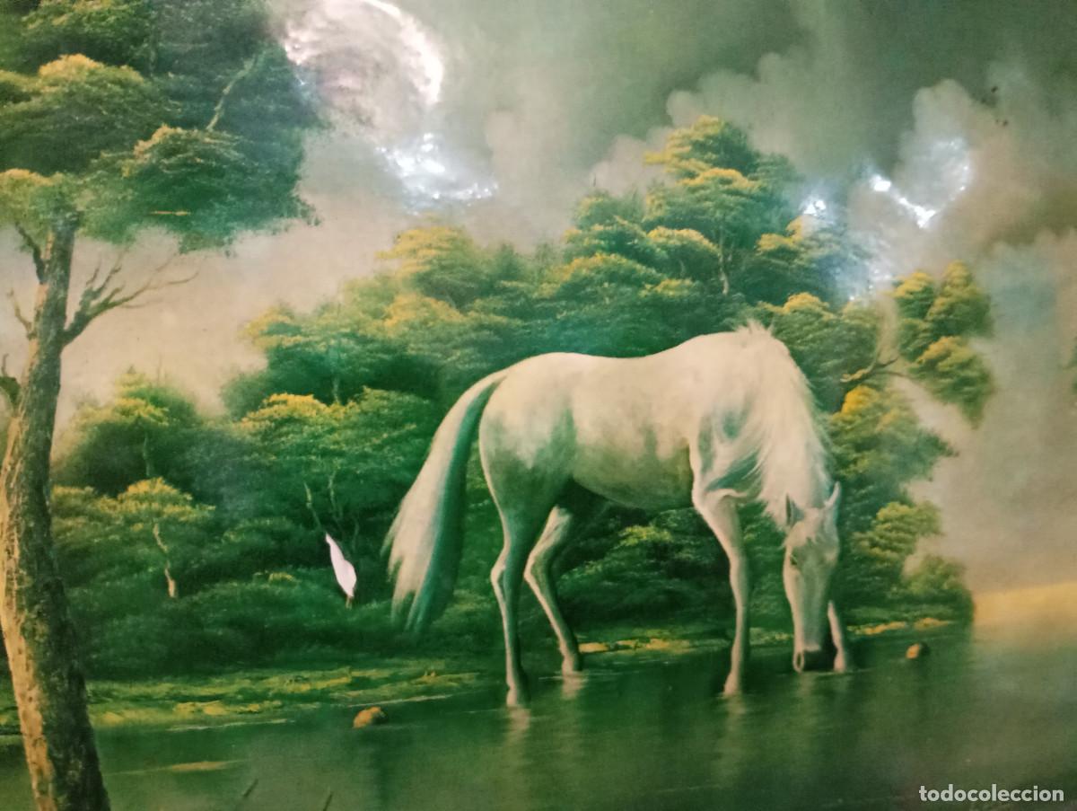 Arte: cuadro lamina de caballo - Foto 3