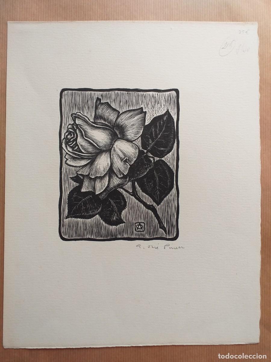 Arte: GRABADO DE OLL&Eacute; PINELL- ROSA VERA - Foto 1