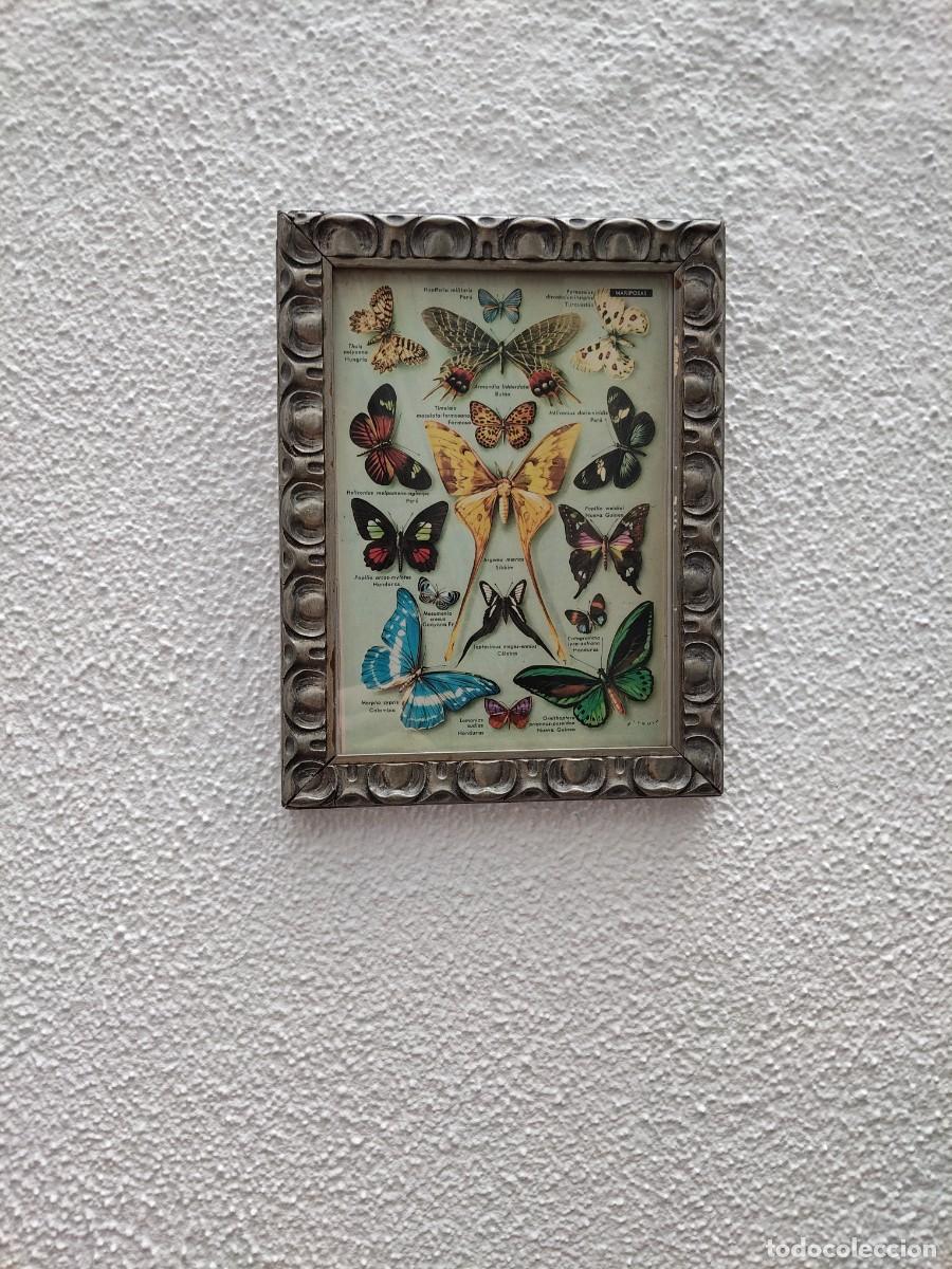 Arte: Cuadro modernista mariposas - Foto 1