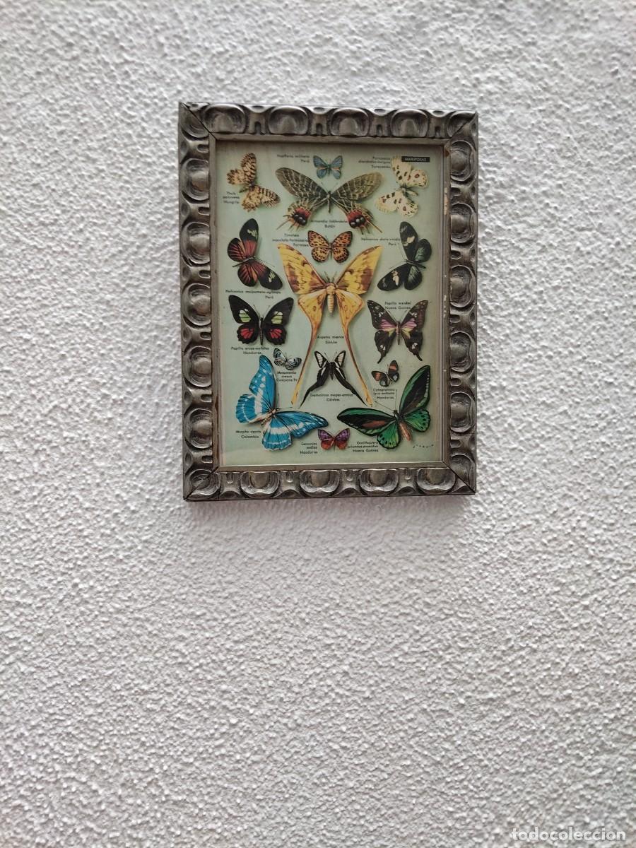 Arte: Cuadro modernista mariposas - Foto 2