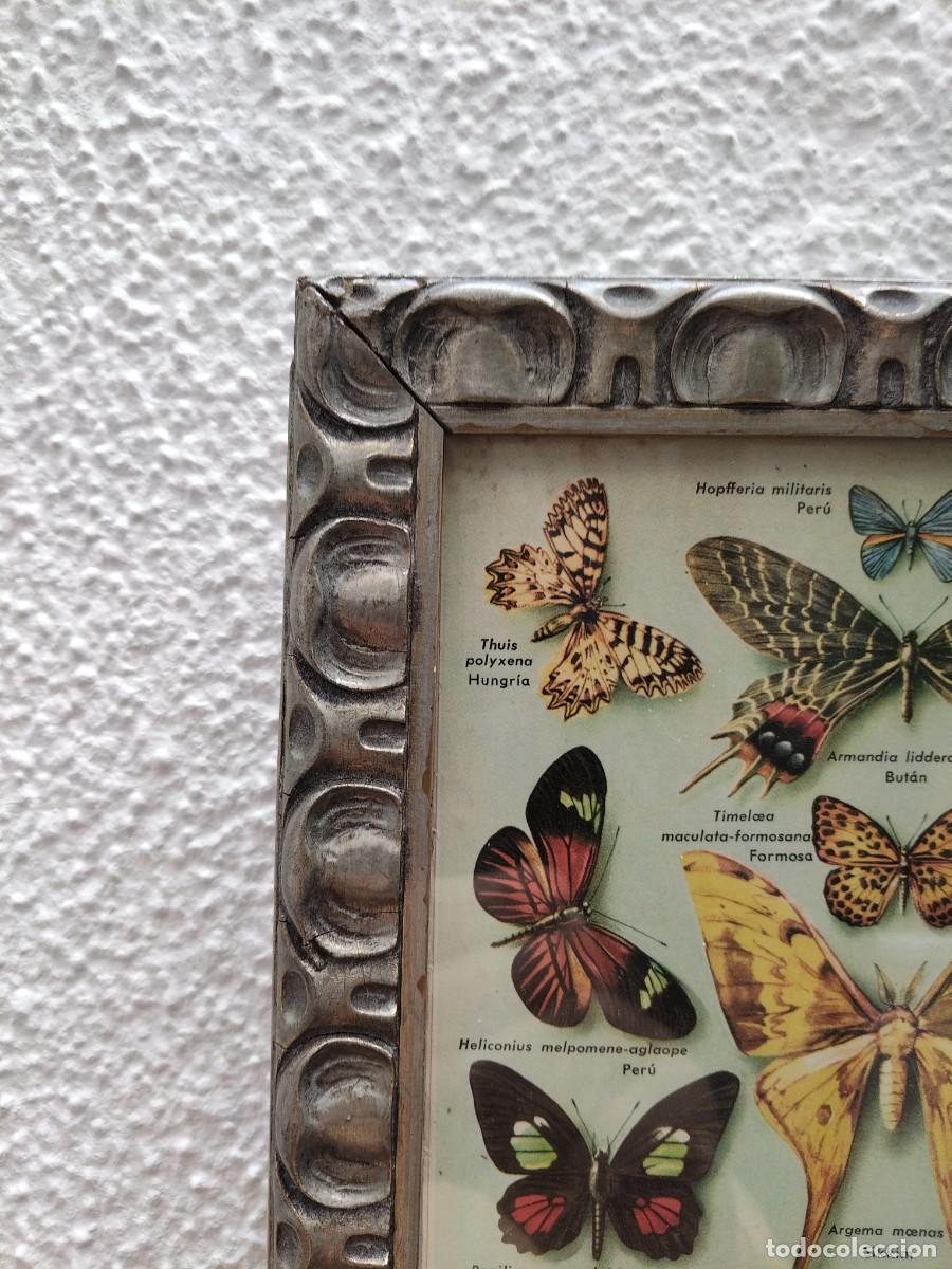 Arte: Cuadro modernista mariposas - Foto 3
