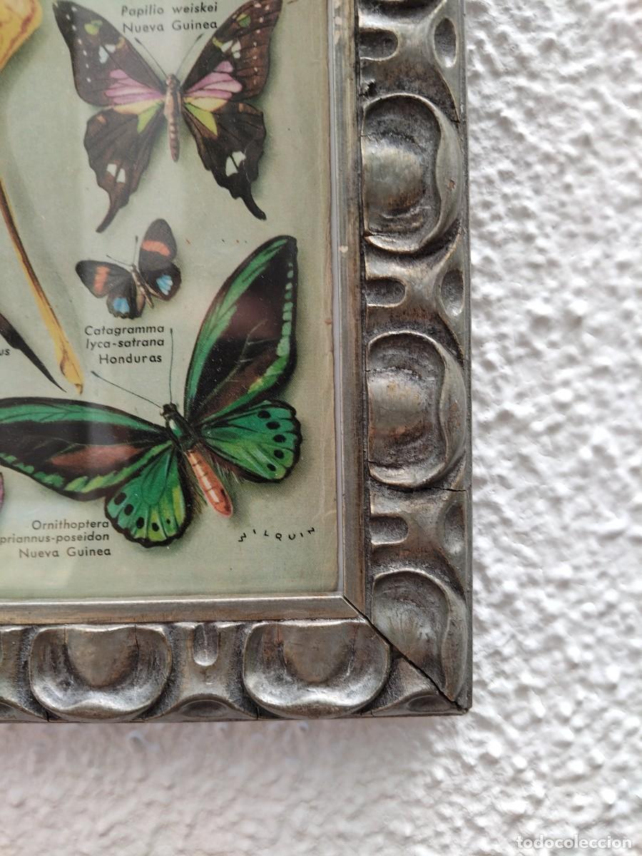 Arte: Cuadro modernista mariposas - Foto 4