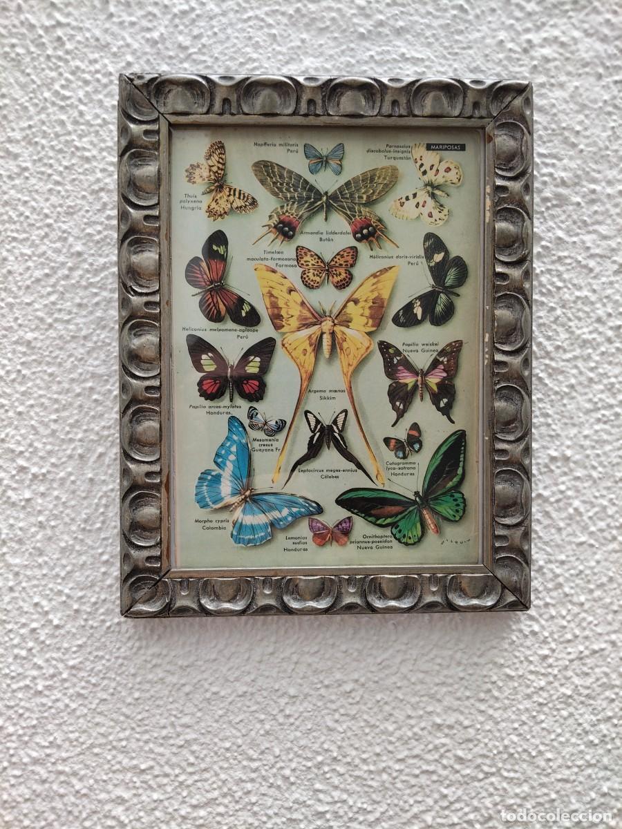 Arte: Cuadro modernista mariposas - Foto 7