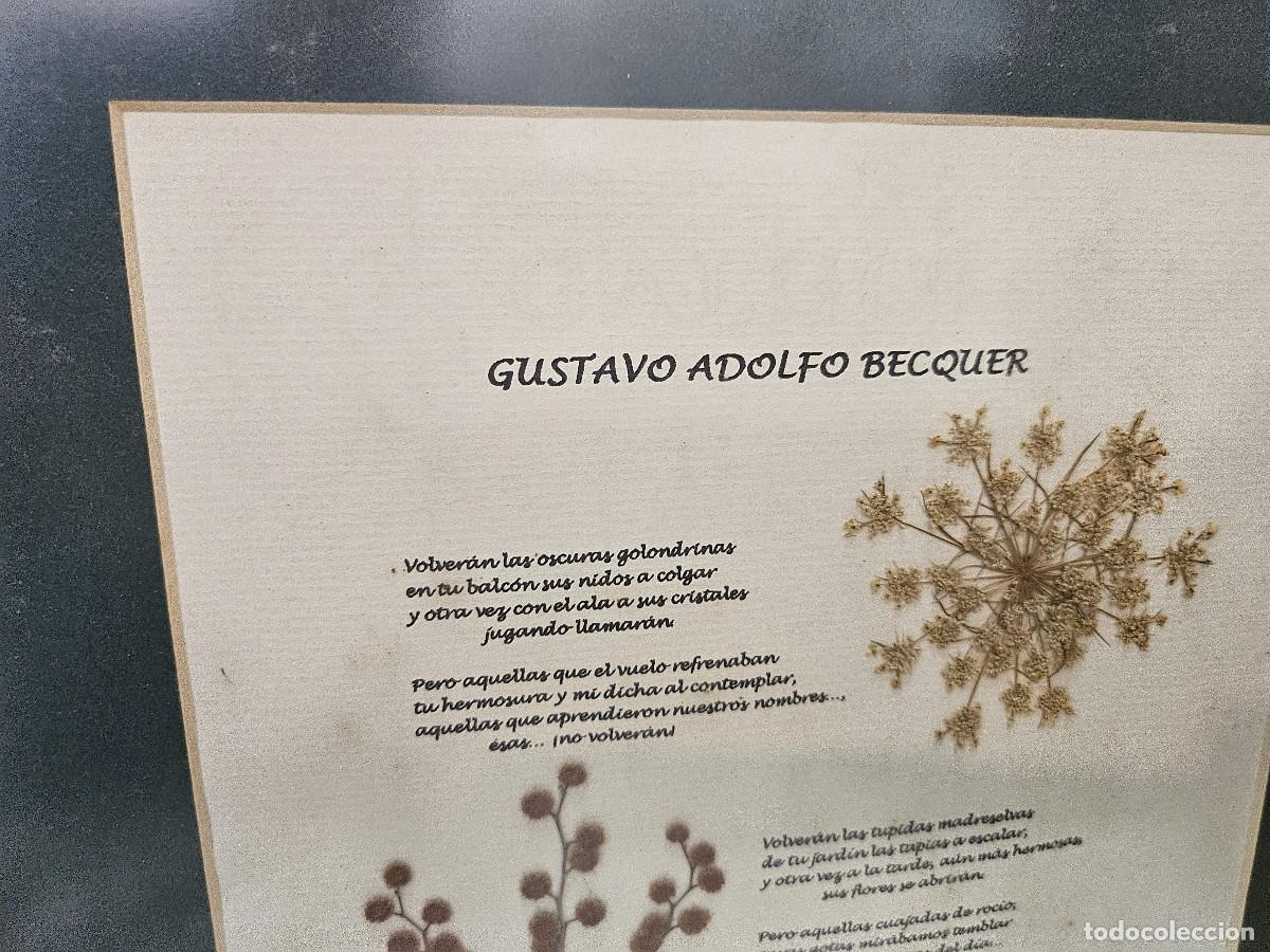 Arte: cuadro con plantas secas - Foto 2