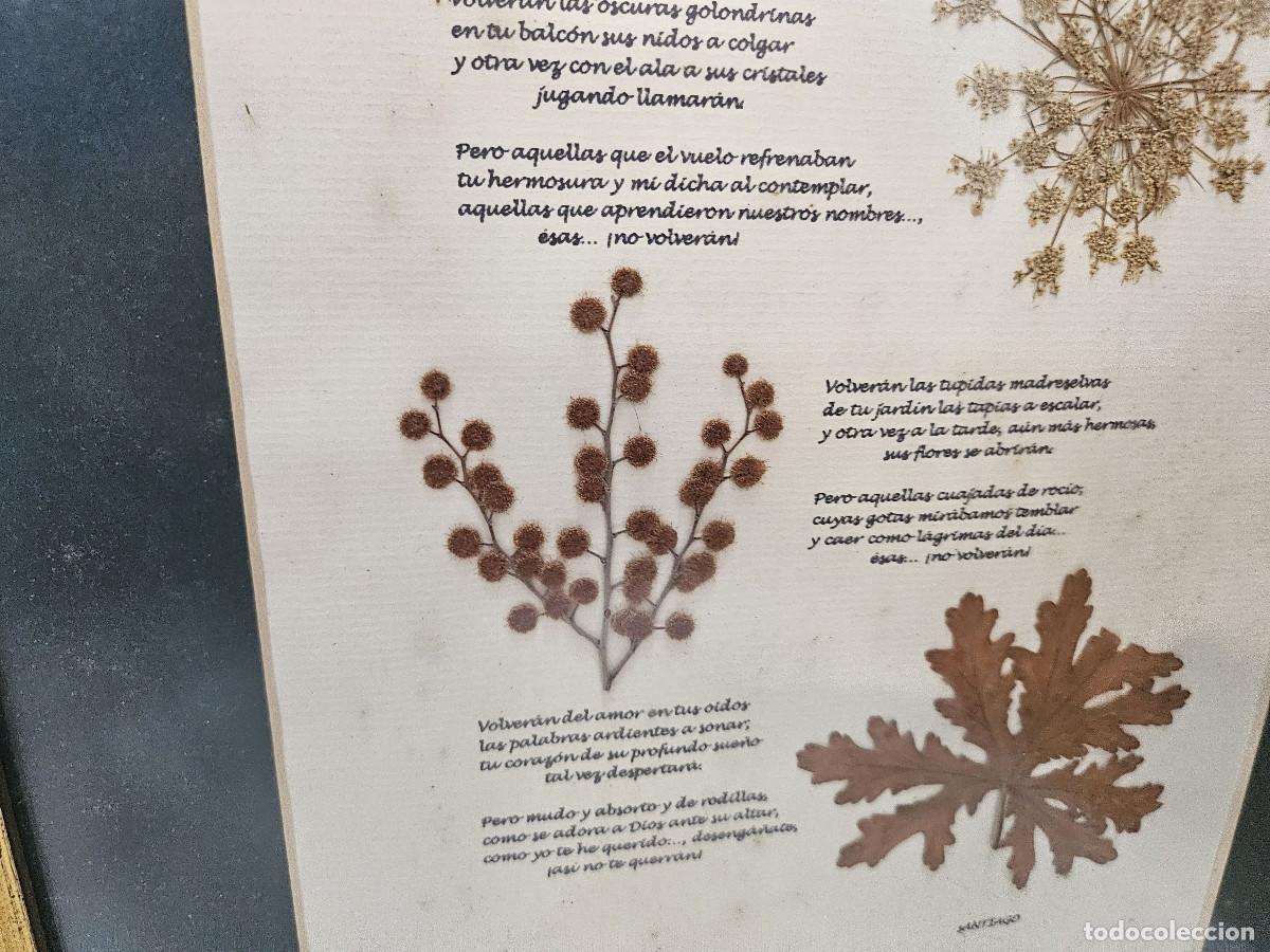 Arte: cuadro con plantas secas - Foto 3