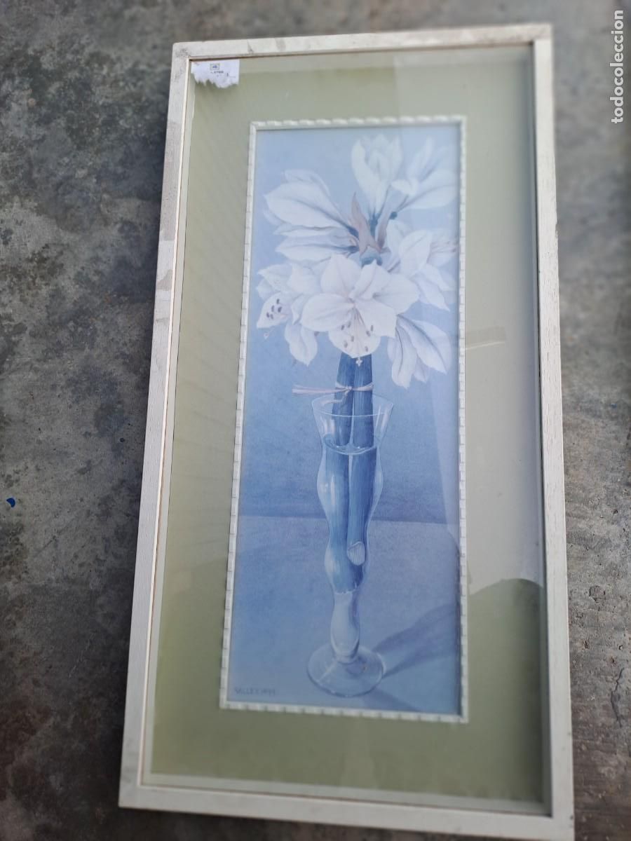 Arte: 2 cuadros L&aacute;minas flores - Foto 1