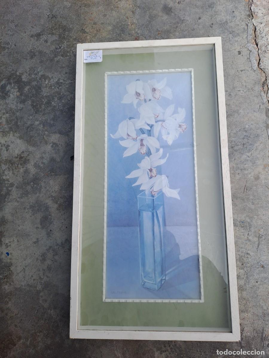 Arte: 2 cuadros L&aacute;minas flores - Foto 3
