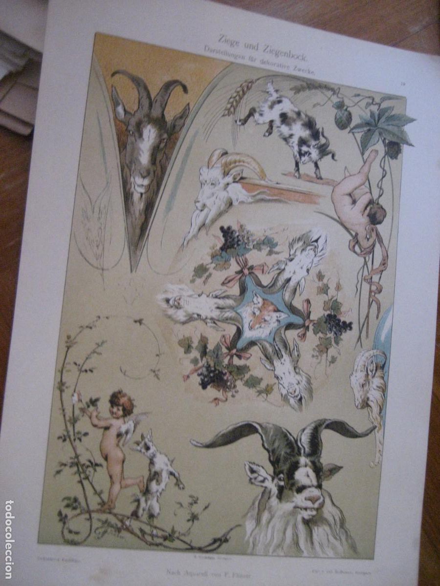 Arte: L&aacute;mina antigua Cabra y cabron Flinzer Dekorative Vorbilder II Verlag Hoffmann Sttutgart s XIX