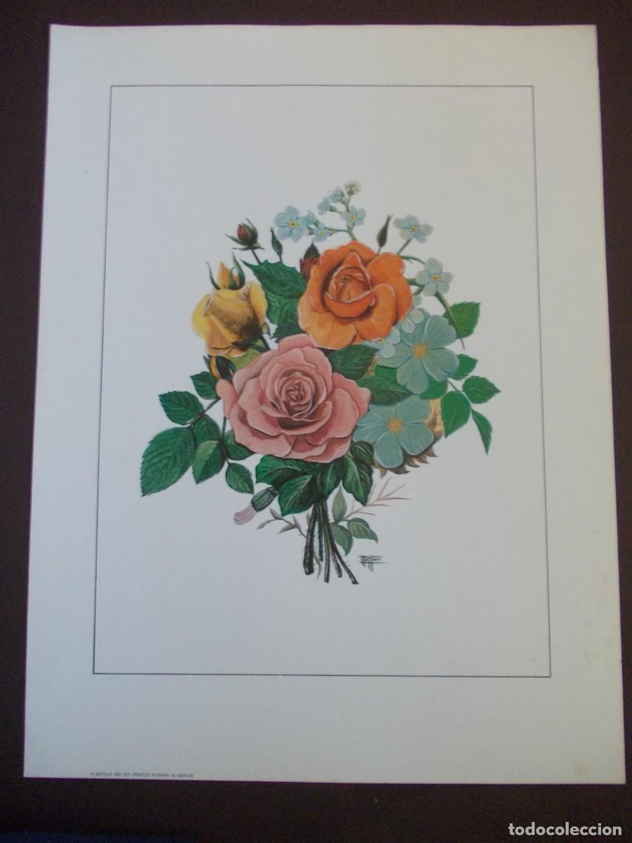 Kunst: L&aacute;mina flores vintage Montero impresi&oacute;n Espa&ntilde;a arte floral decoraci&oacute;n retro