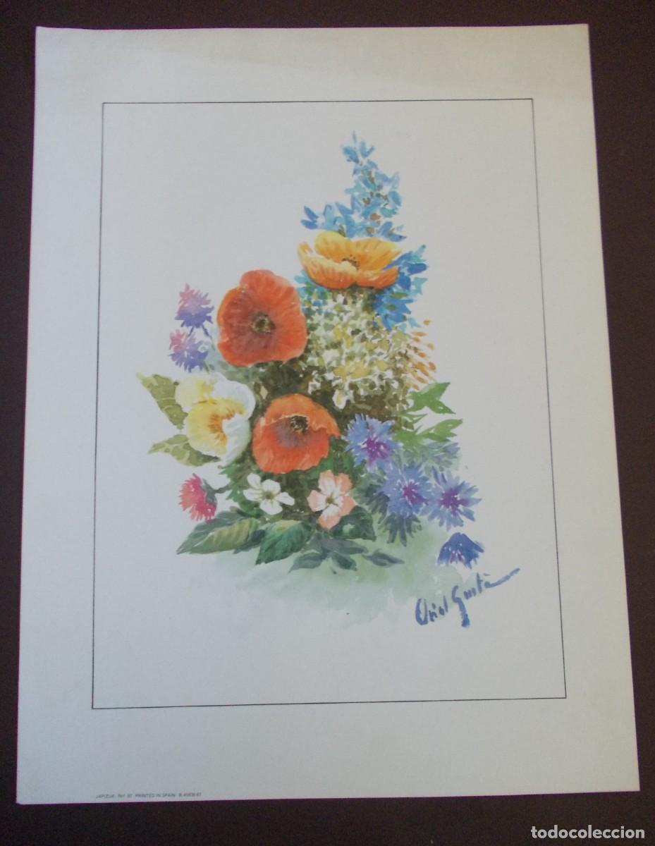 Art: L&aacute;mina floral vintage Oriol Gusta impresi&oacute;n Japizua Espa&ntilde;a arte bot&aacute;nico decoraci&oacute;n