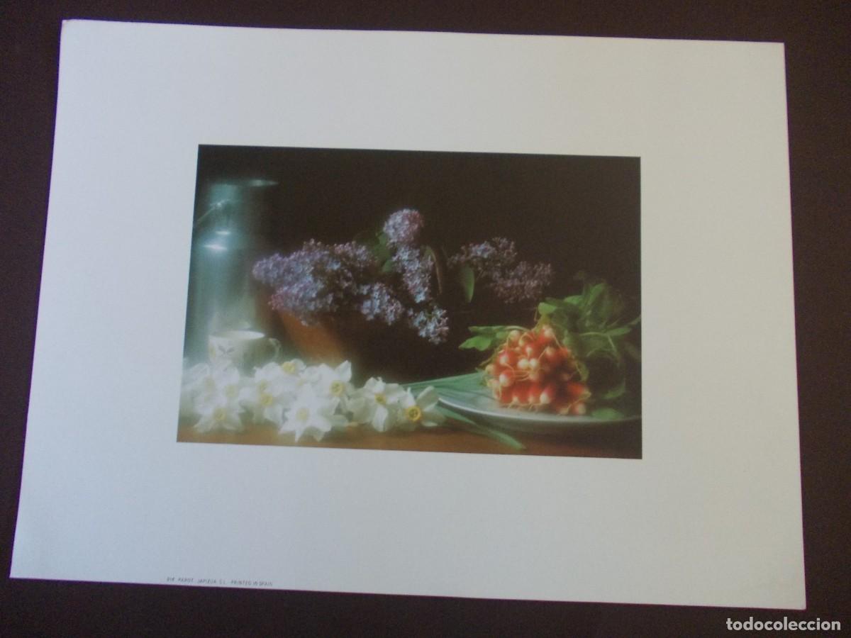 Arte: L&aacute;mina bodeg&oacute;n flores PAROT JAPIZUA 1980s naturaleza muerta vintage decoraci&oacute;n floral
