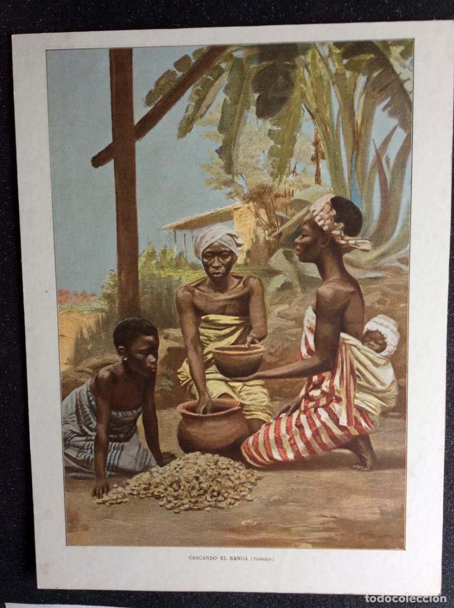 Arte: Cascando el Banga&acute; Palmiste (Habitante de la Isla de Fernando P&oacute;o). Original de1903