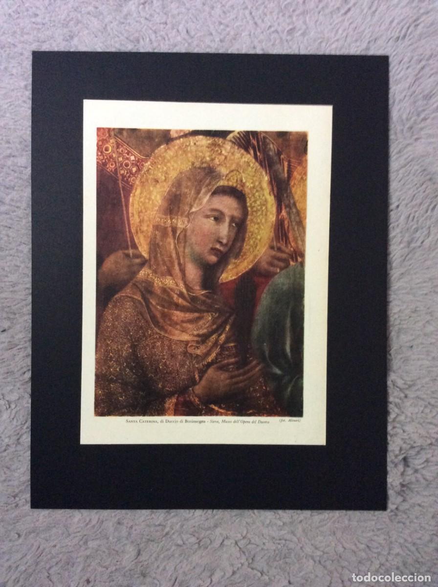 Art: Arte antiga italiana - Santa Caterina, di Duccio di Boninsegna - Siena- L&aacute;mina colorida, ano 1951