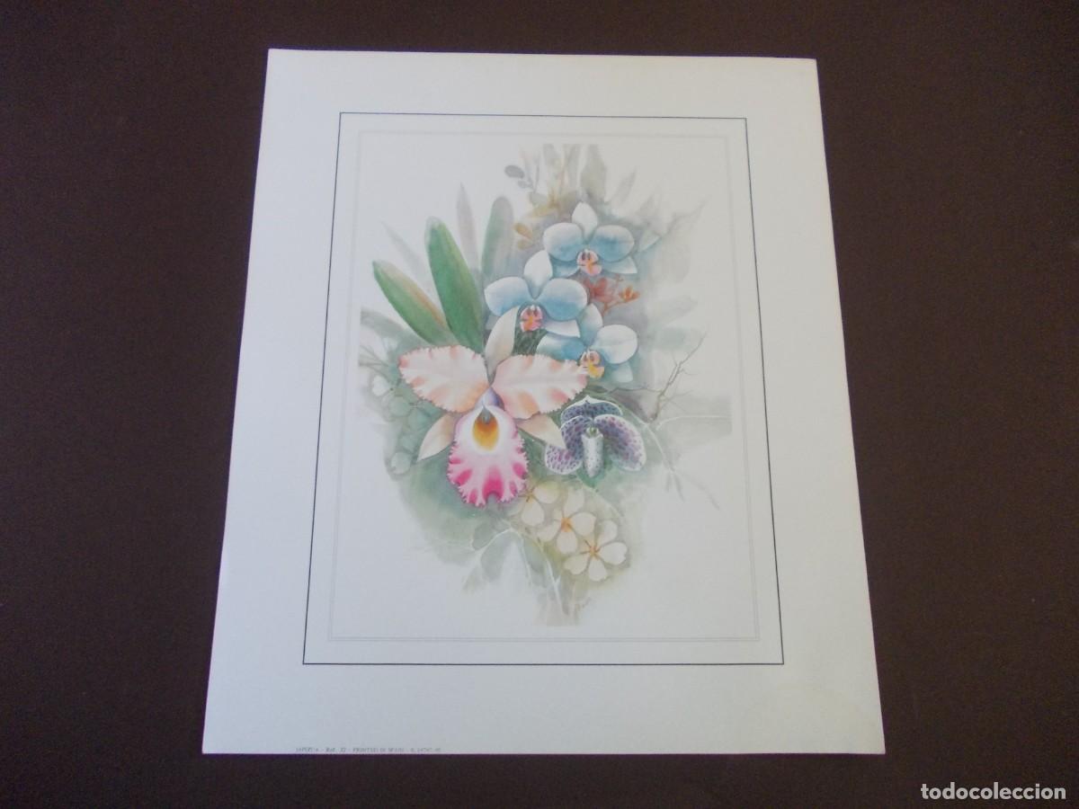 Arte: L&aacute;mina Ramo de orqu&iacute;deas ilustraci&oacute;n bot&aacute;nica tonos pastel edici&oacute;n Japizua