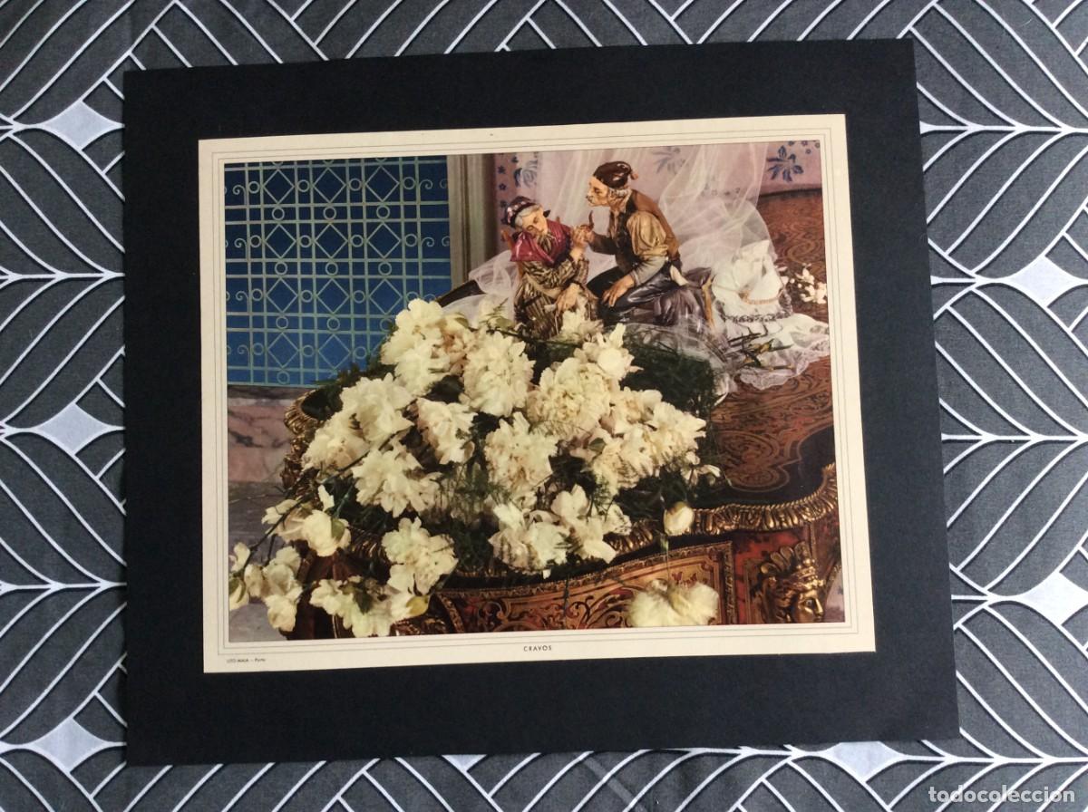 Arte: Tema: Flores ( Cravos ). Exemplar da Litografia Maia, Porto. Ano 196?