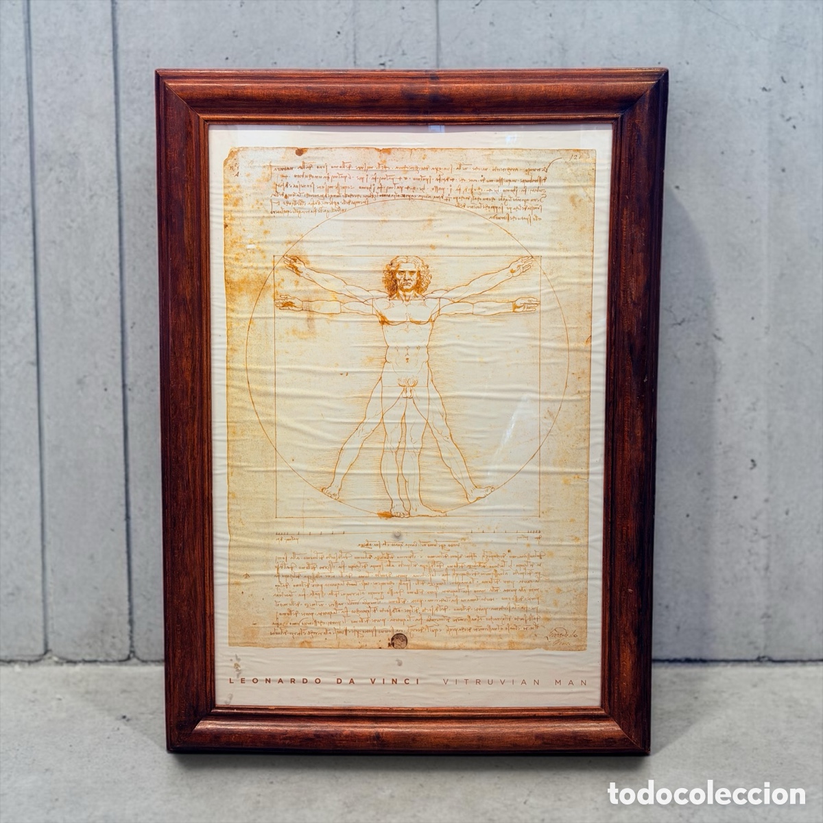 Arte: Antigua L&aacute;mina Enmarcada Leonardo Da Vinci