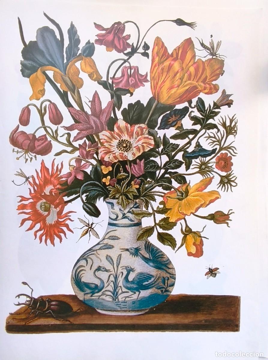 Arte: LAMINA DE BOTANICA JARRON DE FLORES. LAMINAS Plantas 38x28 cms.