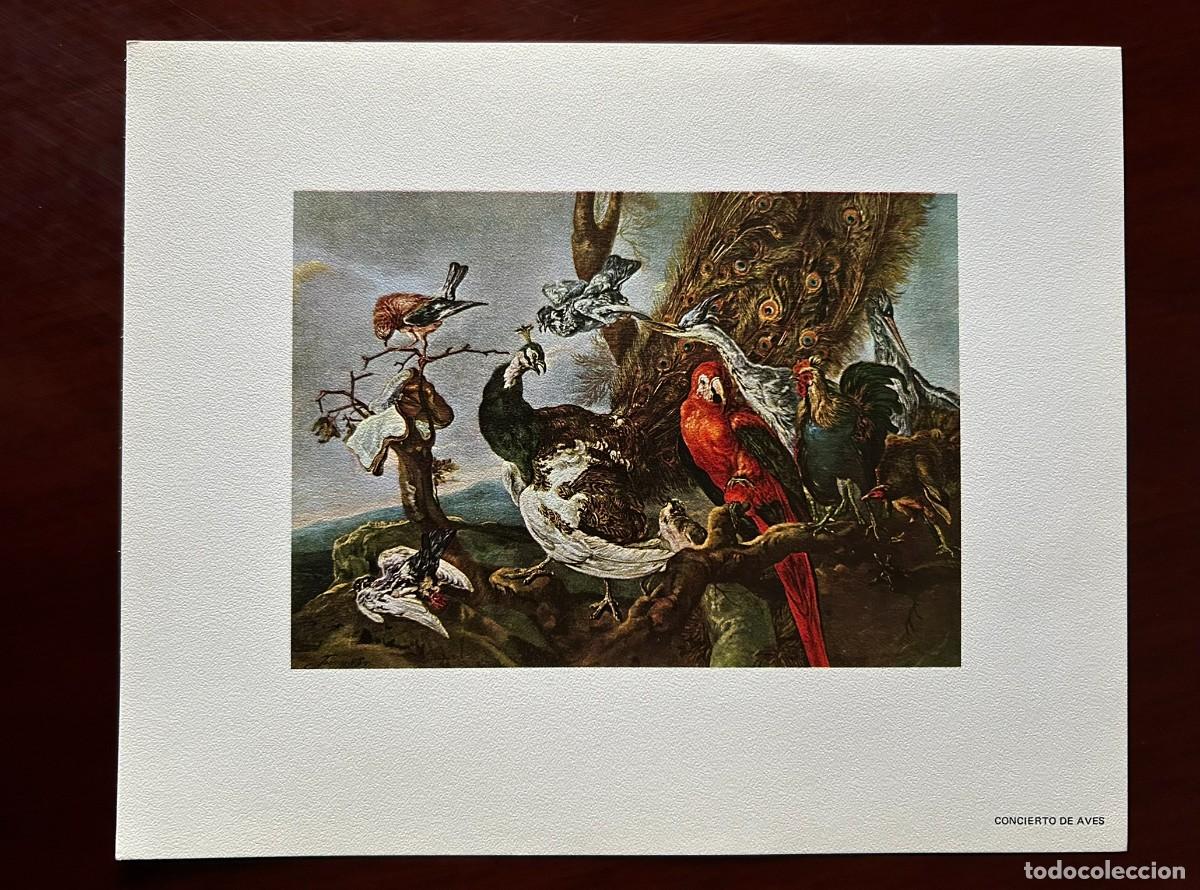 Arte: CONCIERTO DE AVES - JAN FYT &ndash; MUSEO DEL PRADO MADRID L&Aacute;MINA PUBLICITARIA ABELL&Oacute; 1970