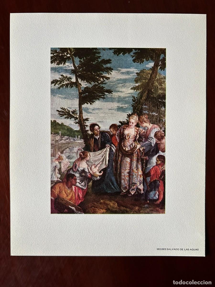 Arte: MOIS&Eacute;S SALVADO DE LAS AGUAS - PABLO VERON&Eacute;S - MUSEO DEL PRADO MADRID L&Aacute;MINA PUBLICITARIA ABELL&Oacute; 1970