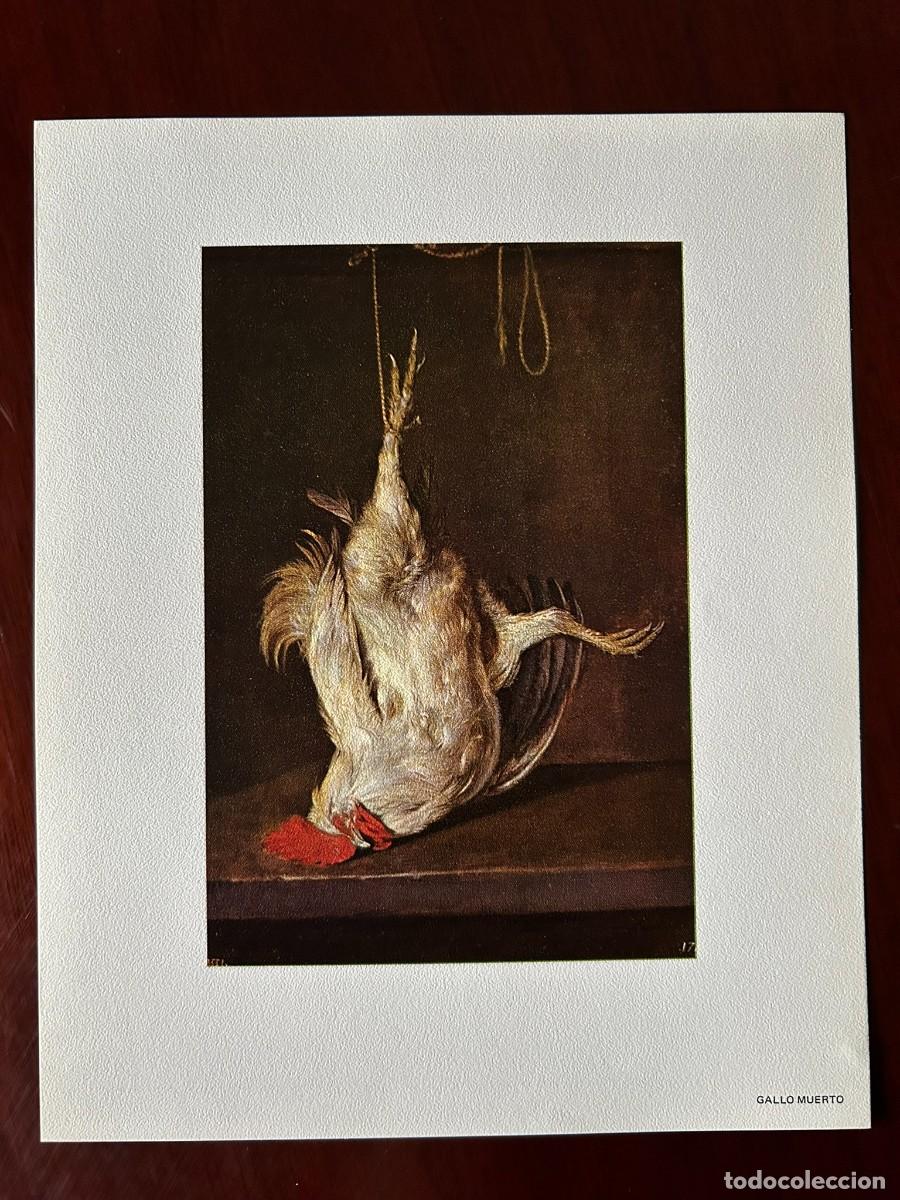 Arte: GALLO MUERTO - GABRIEL METSU - MUSEO DEL PRADO MADRID L&Aacute;MINA PUBLICITARIA ABELL&Oacute; 1970