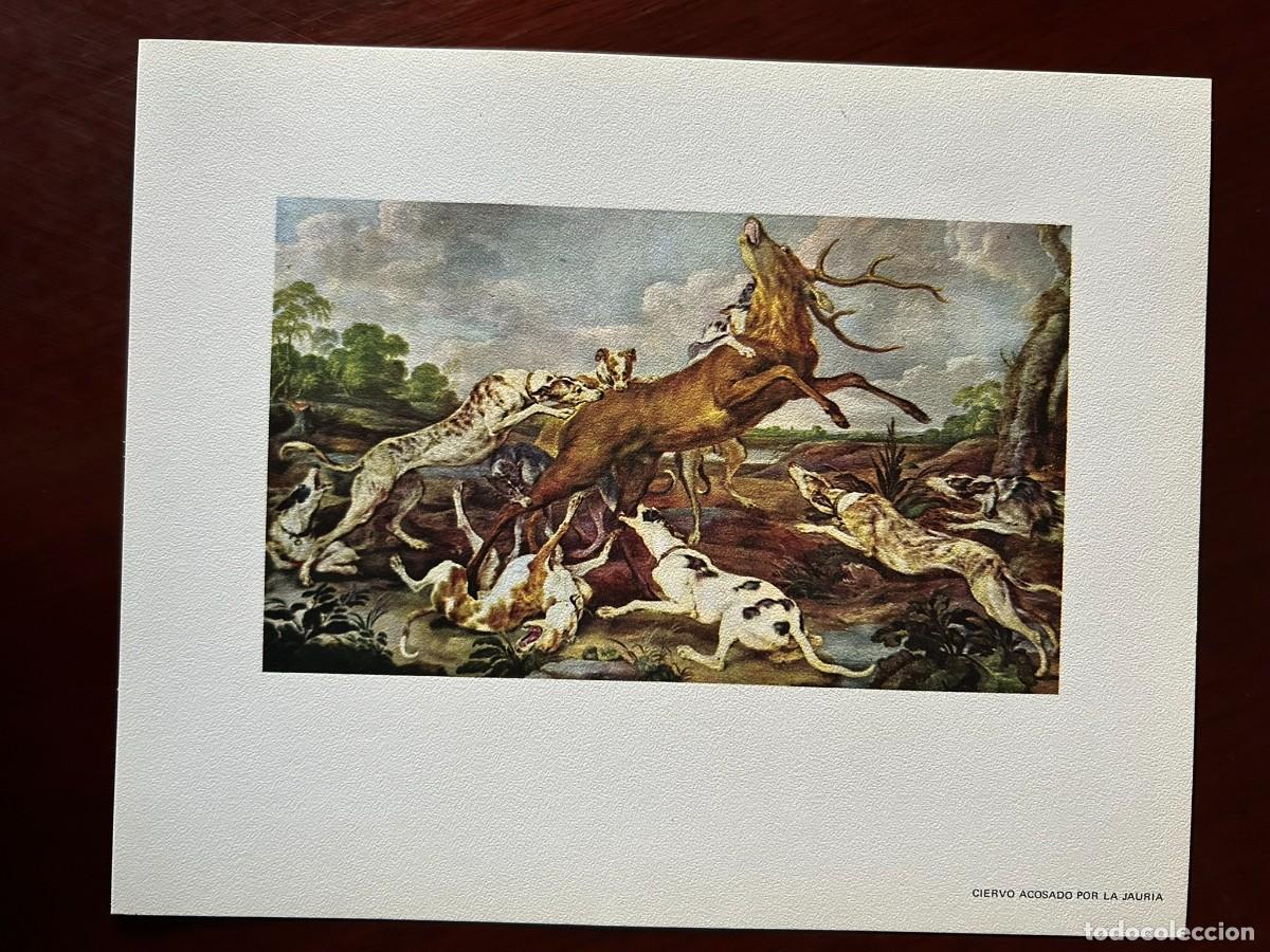 Arte: CIERVO ACOSADO POR LA JAURIA - PAUL DE VOS - MUSEO DEL PRADO MADRID L&Aacute;MINA PUBLICITARIA ABELL&Oacute; 1970