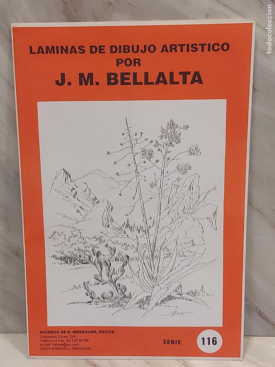 Arte: L&Aacute;MINAS DE DIBUJO ART&Iacute;STICO / SERIE 116 / PAISAJES I / J.M.BELLALTA / 8 L&Aacute;MINAS / NUEVO