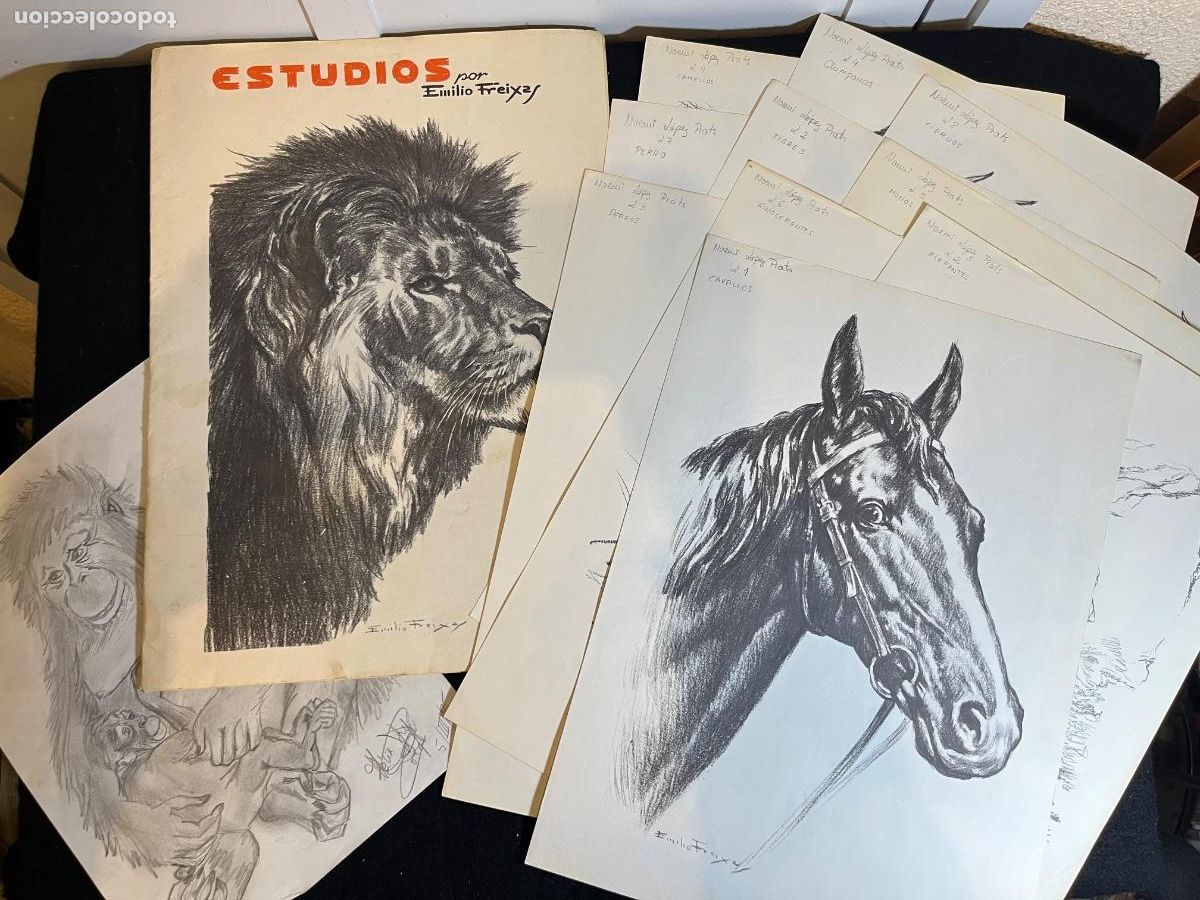 Arte: L&aacute;minas Emilio Freixas dibujo art&iacute;stico animales m&eacute;todo estudios vintage arte ilustraci&oacute;n 1981