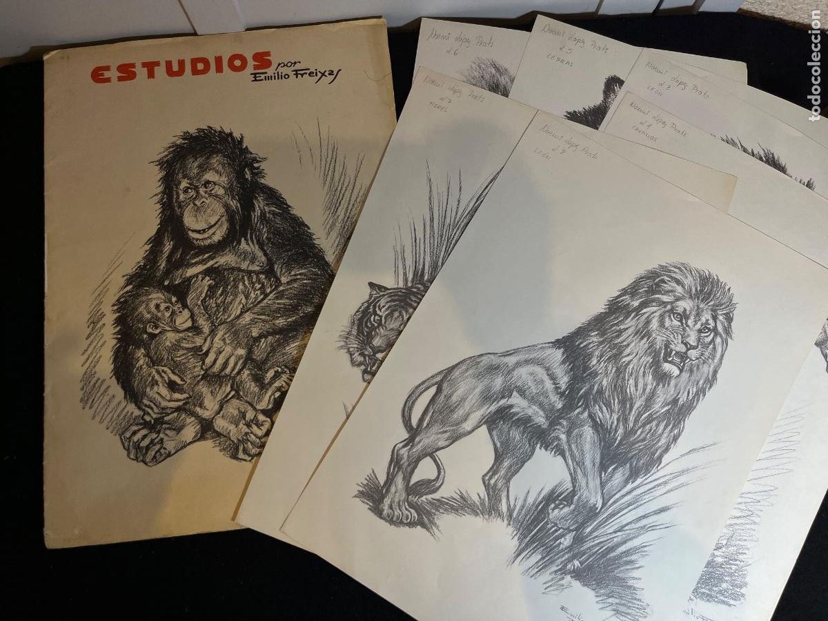 Arte: L&aacute;minas Emilio Freixas animales dibujo art&iacute;stico carboncillo vintage m&eacute;todo estudios ilustraci&oacute;n 199