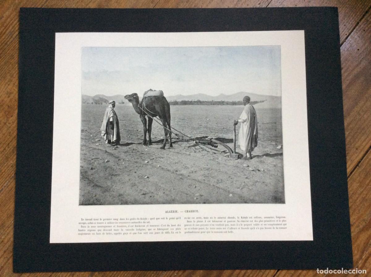 Arte: L&aacute;mina fotogr. monocrom&aacute;tica do s&eacute;culo XIX - Alg&eacute;rie - Charrue