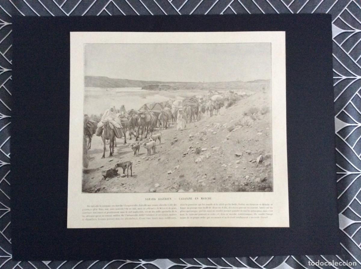 Arte: L&aacute;mina fotogr. monocrom&aacute;tica do s&eacute;culo XIX - Sahara Alg&eacute;rien - Caravane en marche