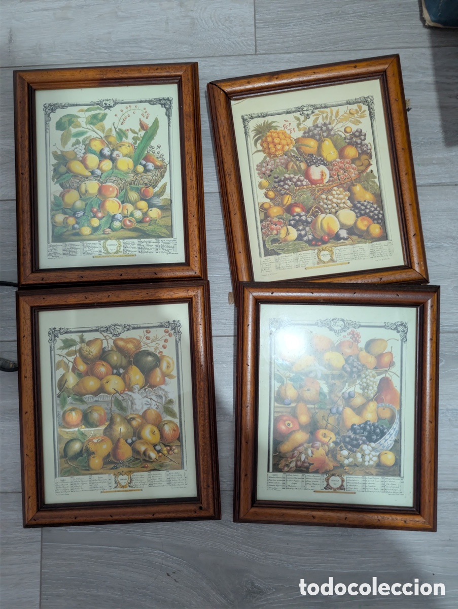 Arte: Set de 4 cuadros bot&aacute;nicos vintage &ndash; &ldquo;Los Doce Meses de Frutas&rdquo; &ndash; Robert Furber, 1732