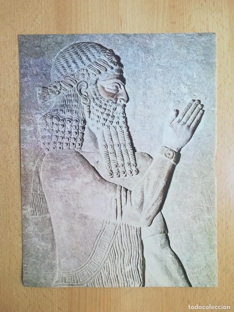 Arte: L&aacute;mina N&ordm; 12. Dignatario asirio en m&aacute;rmol. Museo del Louvre, Par&iacute;s. Historia del Arte.