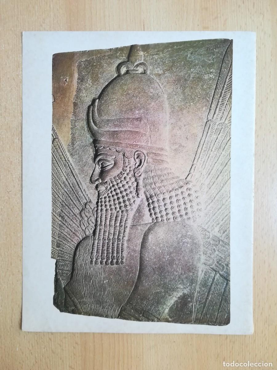 Arte: L&aacute;mina N&ordm; 13. Genio alado del Palacio de Sarg&oacute;n II. Museo del Louvre, Par&iacute;s. Historia del Arte.