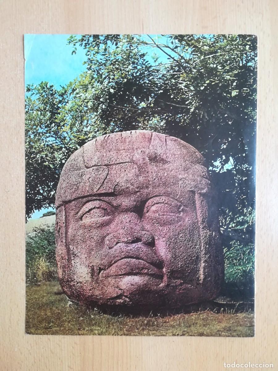 Arte: L&aacute;mina N&ordm; 35. Arte mexicano. Cabeza colosal olmeca. Mesoam&eacute;rica. Historia del Arte.