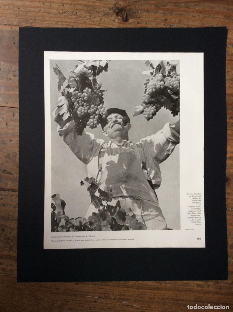 Arte: Costumes, vilas, paisagens rurais e urbanas, cidad&atilde;os da Alemanha p&oacute;s - guerra, 1950. L&aacute;mina fotog